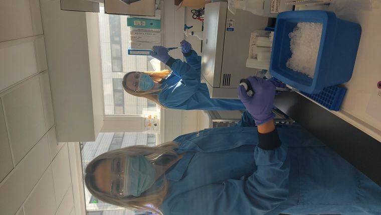 Two technicians pipetting